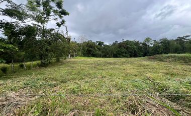 Terreno en Venta - Vía Nueva Aurora - Pedro Vicente Maldonado