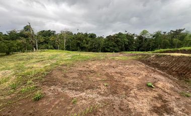 Terreno en Venta - Vía Nueva Aurora - Pedro Vicente Maldonado