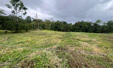 Terreno en Venta - Vía Nueva Aurora - Pedro Vicente Maldonado