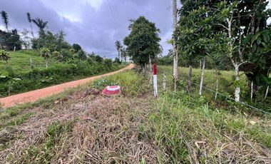 Terreno en Venta - Vía Nueva Aurora - Pedro Vicente Maldonado