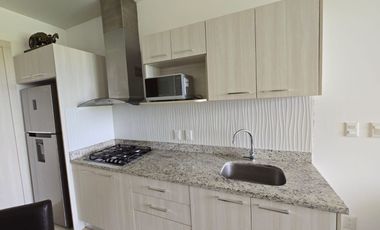 DEPARTAMENTO EN RENTA VALLE AURORA/PLAYA DEL CARMEN