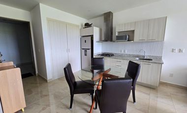 DEPARTAMENTO EN RENTA VALLE AURORA/PLAYA DEL CARMEN