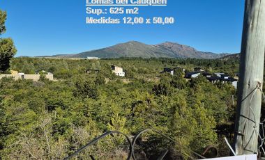 OPORTUNIDAD !!! Sup:  625 M2 (12,50 X 50,00)  Anticipo Mínimo u$s 18.000.-