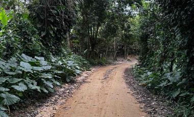 se vende finca con río Guachaca