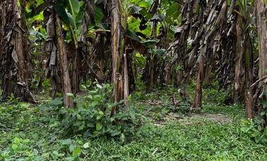 se vende finca con río Guachaca