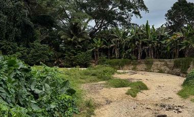 se vende finca con río Guachaca
