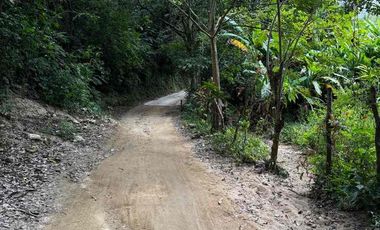 se vende finca con río Guachaca