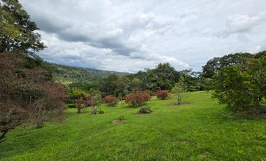 SE VENDE FINCA CON DOS CASAS EN TERRENO DE 7.846 MT- SILVANIA CUNDINAMARCA