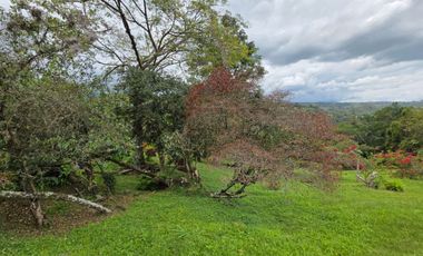 SE VENDE FINCA CON DOS CASAS EN TERRENO DE 7.846 MT- SILVANIA CUNDINAMARCA