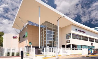 Locales comerciales en renta