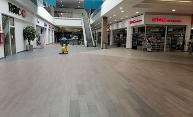 Locales comerciales en renta