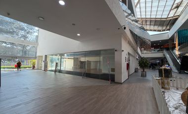 Locales comerciales en renta