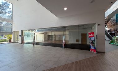 Locales comerciales en renta