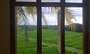 Disewakan Rumah 2 Lt Cocok untuk Slow Living Berlokasi di Nanggulan