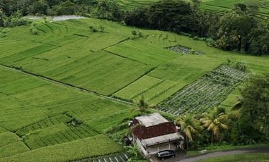 Disewakan Rumah 2 Lt Cocok untuk Slow Living Berlokasi di Nanggulan