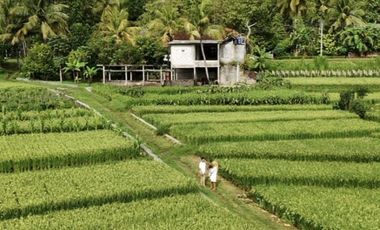 Disewakan Rumah 2 Lt Cocok untuk Slow Living Berlokasi di Nanggulan