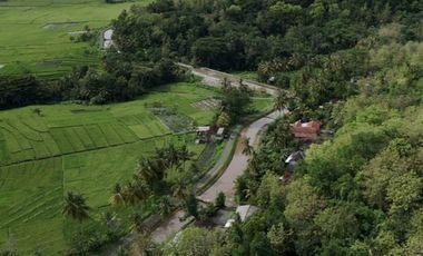 Disewakan Rumah 2 Lt Cocok untuk Slow Living Berlokasi di Nanggulan