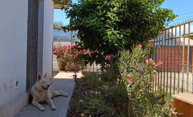 Arriendo Casa en Sector Carmen y Dolores - 3D/2B San Felipe
