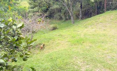 Hermosa quinta en venta con 3.500m2T en Yunguilla - Santa Isabel