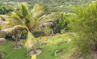 Hermosa quinta en venta con 3.500m2T en Yunguilla - Santa Isabel