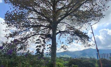 se vende apartamento