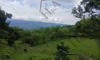 Venta de Finca en La Mesa Cundinamarca