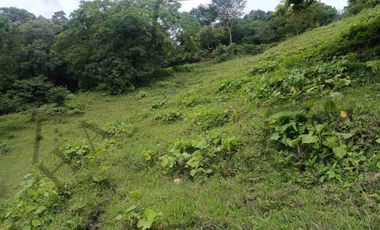 Venta de Finca en La Mesa Cundinamarca