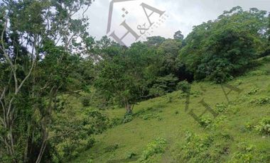 Venta de Finca en La Mesa Cundinamarca