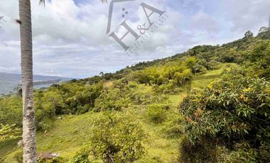 Venta de Finca en La Mesa Cundinamarca