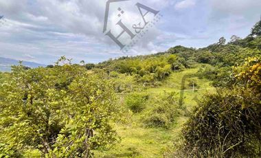 Venta de Finca en La Mesa Cundinamarca
