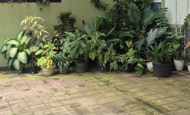 Dijual Rumah Nyaman Terawat Siap Huni Minimalis Lokasi Dipageran Cimahi Utara Bandung