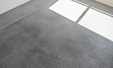 2d 2b soleado 470.000