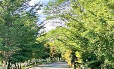 250-sqm Lot For Sale in West Highlands Golf Estates in Butuan City, near airport and malls