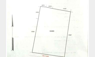 Tanah termurah Bonus Rumah cantik lokasi Premium tengah kota strategis area Taman Siswa Yogyakarta