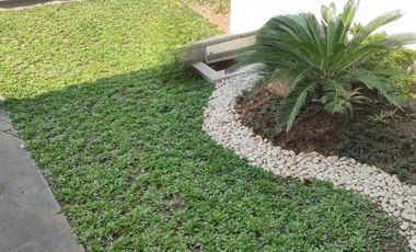 Minimalis Rumah Citraland Somerset 2 Lantai Dekat Ptc Pakuwon Mall