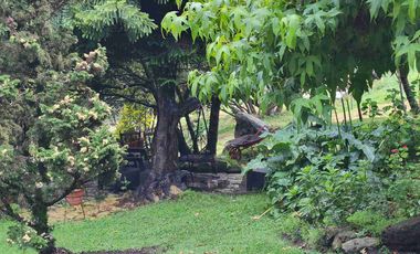 VENTA FINCA