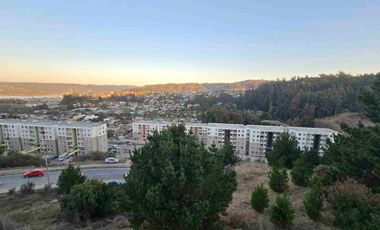 SE ARRIENDA DEPARTAMENTO EN CONSTITUCIÓN