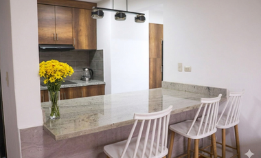 En arriendo suite amoblada en Paseo 3 de Noviembre