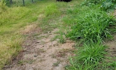 Terreno en venta en San Jose Novillero, Boca del Rio, Veracruz