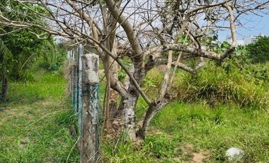 Terreno en venta en San Jose Novillero, Boca del Rio, Veracruz