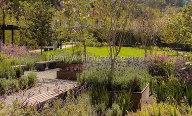 Departamento Dúplex de Tres Recámaras en Naucalpan de Juárez, calle Camino al Arenero #26-1258 AVC