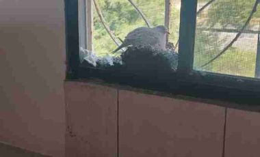 En Venta Casa con siete dormitorios Punta Blanca Ecuador