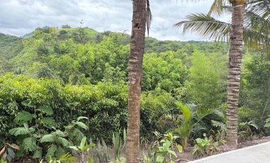 Propiedad en venta con 5.000m2 de terreno plano en el Valle de Yunguilla - Santa Isabel Ec.