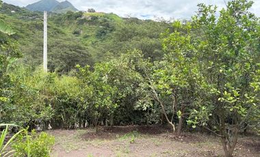 Propiedad en venta con 5.000m2 de terreno plano en el Valle de Yunguilla - Santa Isabel Ec.