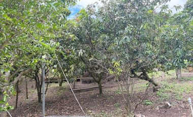 Propiedad en venta con 5.000m2 de terreno plano en el Valle de Yunguilla - Santa Isabel Ec.