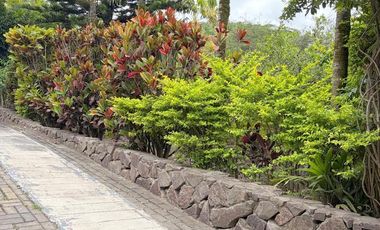 Propiedad en venta con 5.000m2 de terreno plano en el Valle de Yunguilla - Santa Isabel Ec.