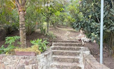 Propiedad en venta con 5.000m2 de terreno plano en el Valle de Yunguilla - Santa Isabel Ec.