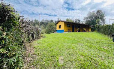 FINCA ECONOMICA EN VENTA SAN VICENTE VEREDA LA COMPAÑIA ARRIBA
