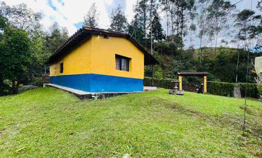 FINCA ECONOMICA EN VENTA SAN VICENTE VEREDA LA COMPAÑIA ARRIBA
