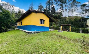 FINCA ECONOMICA EN VENTA SAN VICENTE VEREDA LA COMPAÑIA ARRIBA